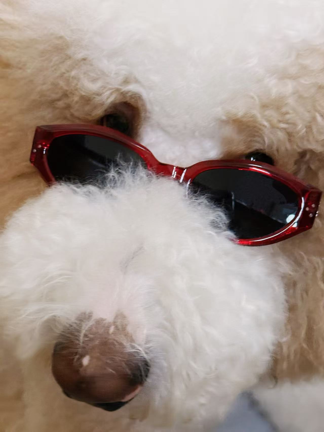Bobby